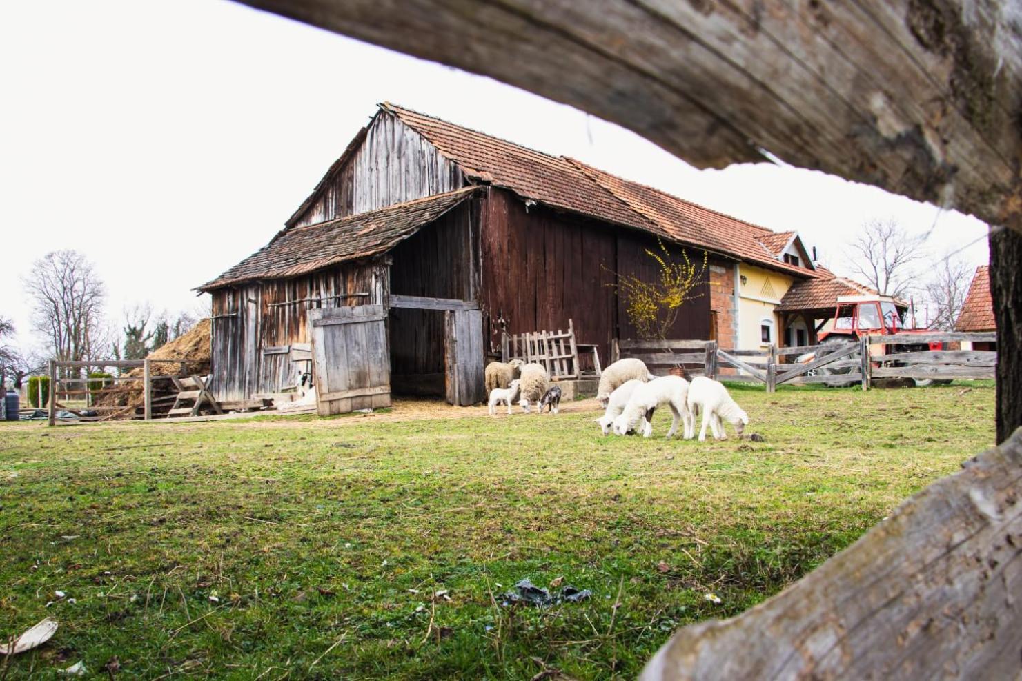 Country House Ivancan Molve Экстерьер фото