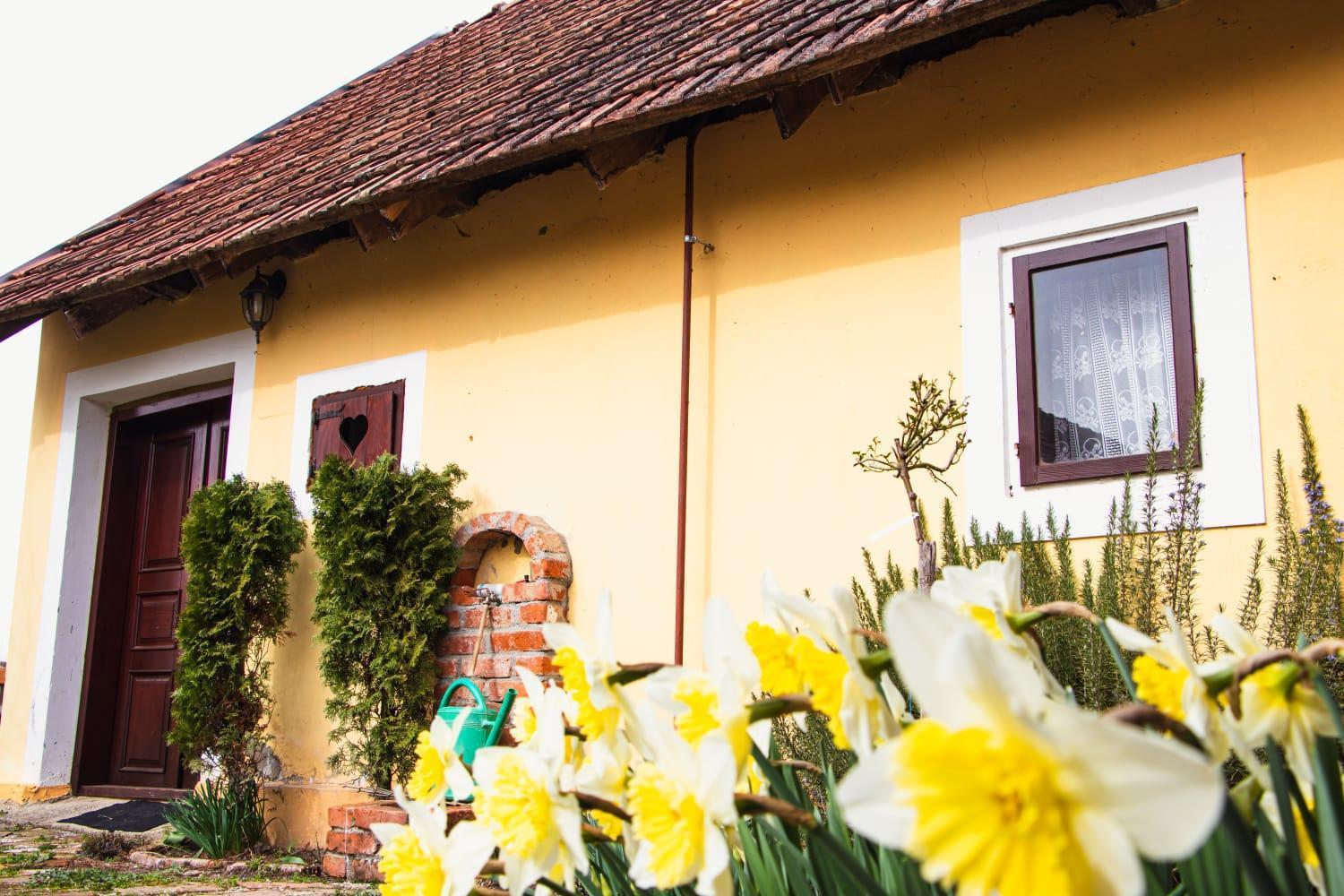 Country House Ivancan Molve Экстерьер фото