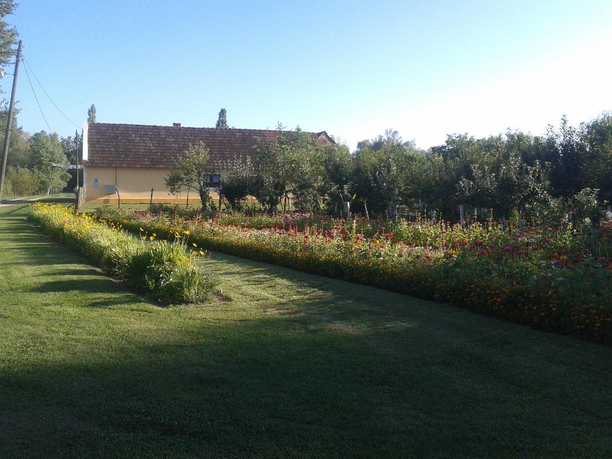Country House Ivancan Molve Экстерьер фото